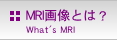 MRI摜Ƃ́H