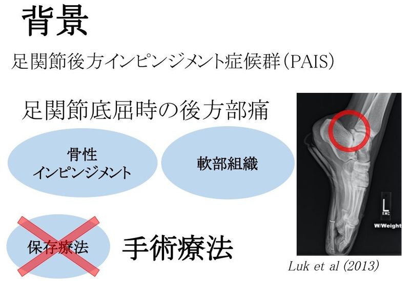 第8回 日本ダンス医科学研究会学術大会への発表報告 Ar Ex 尾山台整形外科