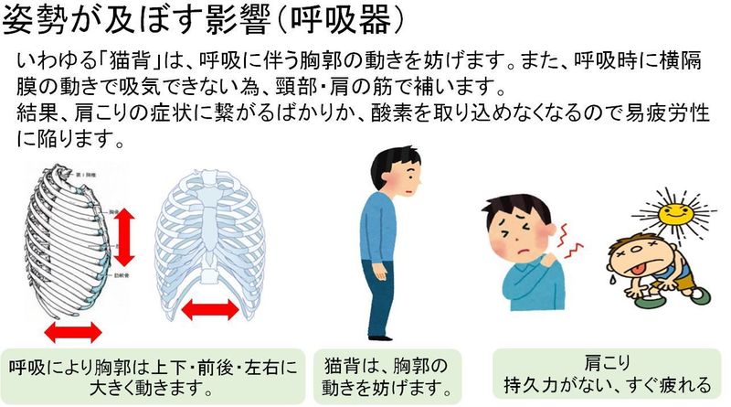 子どもの姿勢について 上田整形外科内科