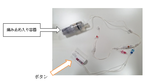 第44回日本肩関節学会、第1回肩の看護研究会参加報告 | AR-Ex 尾山台整形外科