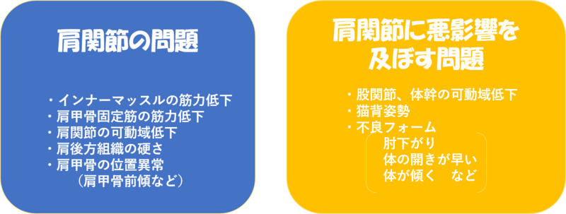 投球障害肩（野球肩）の種類と治療方法 | AR-Ex 尾山台整形外科