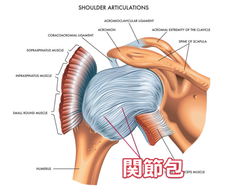 非観血的授動術(Manipulation Under Anesthesia：MUA)とは？ | 佐久平整形外科クリニック