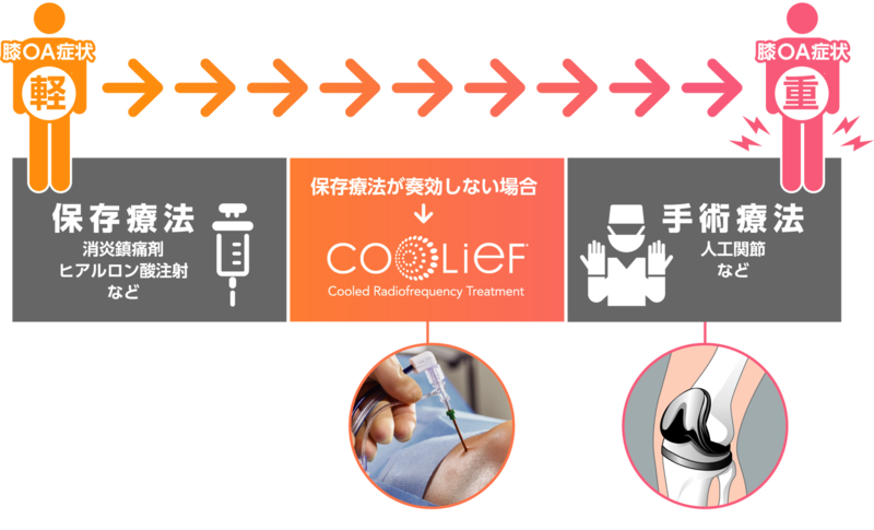 整形外科の薬物療法・保存療法 整形外科の薬物療法・保存療法 (ニュースタンダード整形外科の