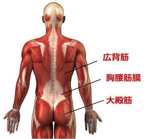 筋筋膜性腰痛症 上田整形外科クリニック