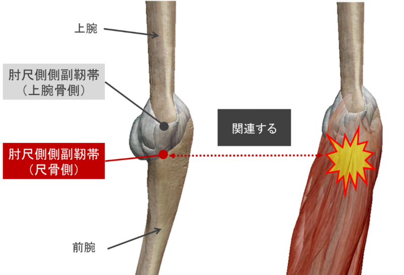 B62-105 臨床スポーツ医学 特集スポーツによる頚椎の損傷 1991 9