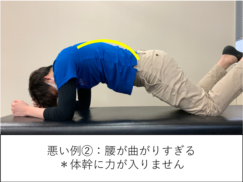 腰 腰痛】『ローカル筋？ グローバル筋？ 腰痛コアコントロール