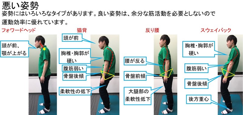 正しい姿勢とは? | 上田整形外科内科