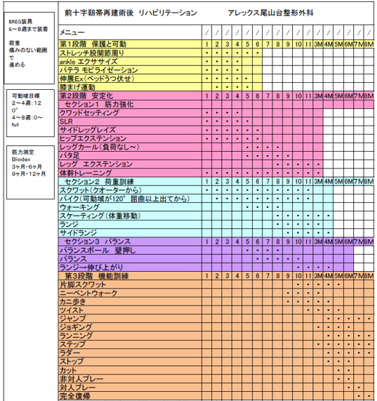 サッカーの前十字靭帯手術後のリハビリ Ar Ex Medical Group サッカーの前十字靭帯手術後のリハビリ Ar Ex Medical Group