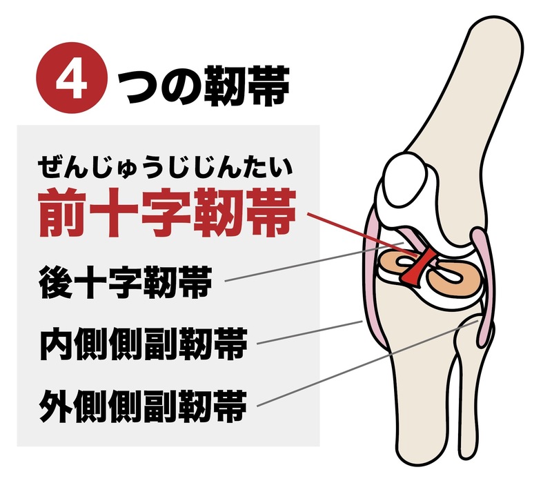 前十字靭帯 装具 左膝用 半月板損傷 3分